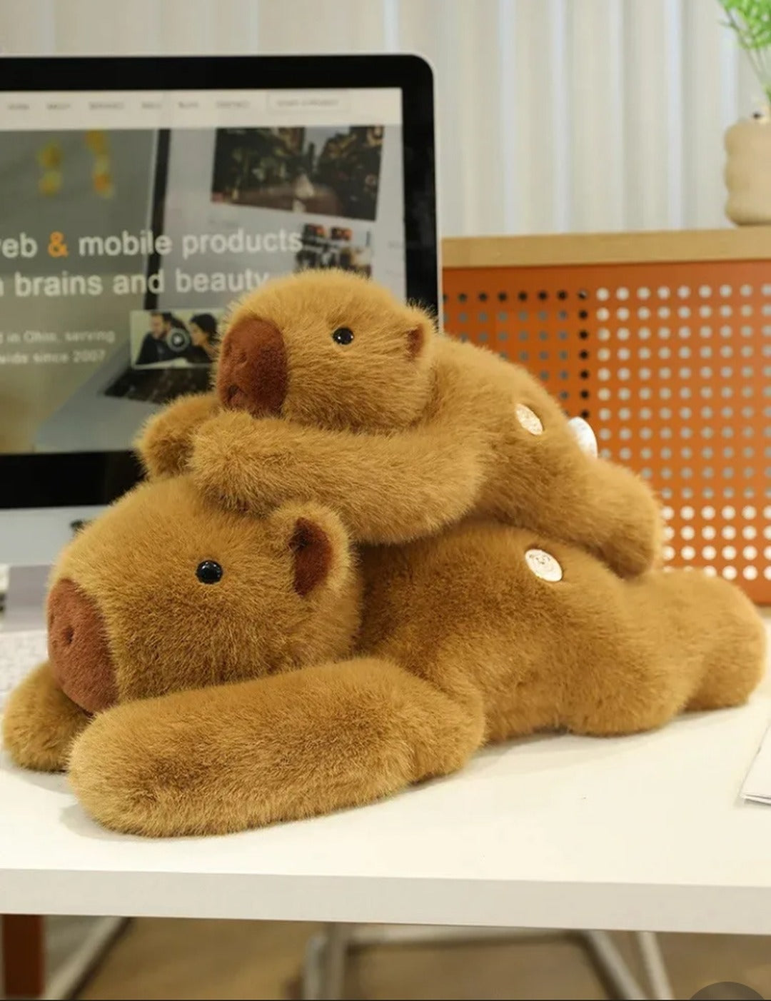 Two weighted capybara plushies stacked on a desk