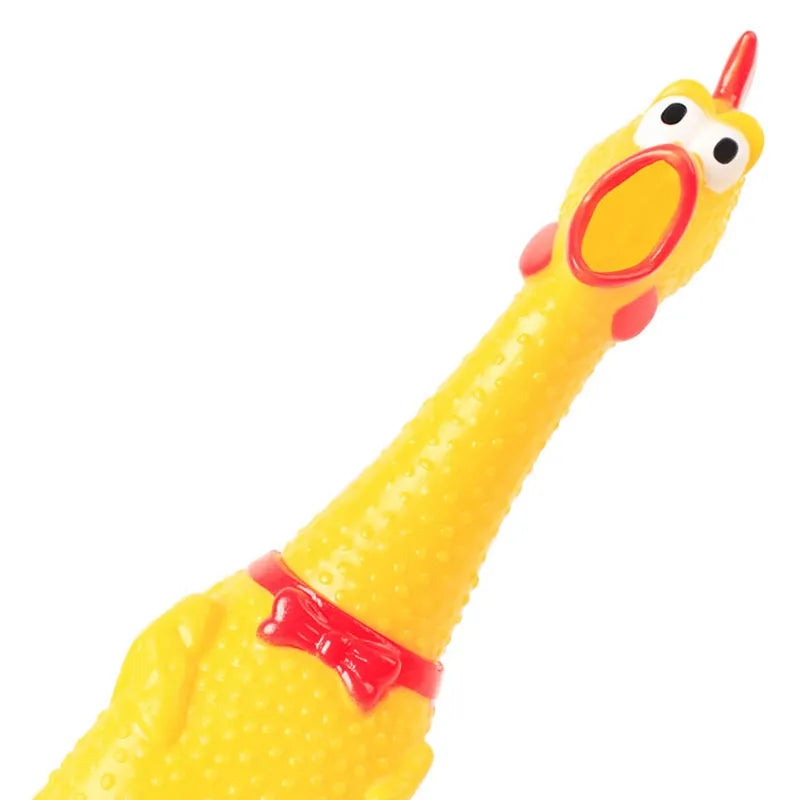 Close-up of the rubber chicken's screaming face